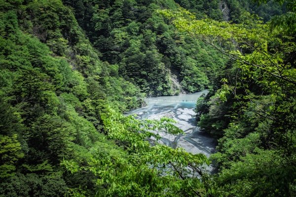 绿源环保公益短剧《地球守护者》 - 短剧免费看在线客户案例展示